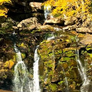 Meet your Posher, Renee